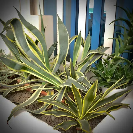 Szálloda La Parigina Lignano Sabbiadoro