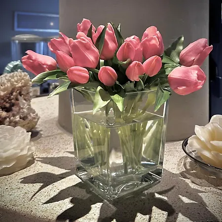 La Parigina Lignano Sabbiadoro