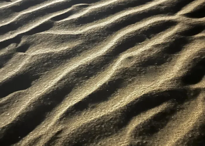 La Parigina Hotel Lignano Sabbiadoro