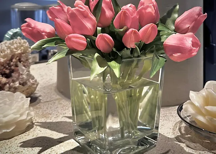 La Parigina Lignano Sabbiadoro